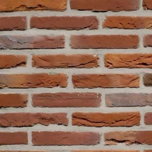 Eurosteen Cranenweijer Handvorm Waalformaat (4078) - pallet à 792 stuks