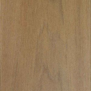 Forest 80x40x4 cm Betula Brown