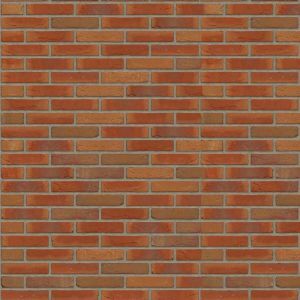 Rijswaard Virgo Handvorm Waalformaat - monsterdoos à 4 stuks