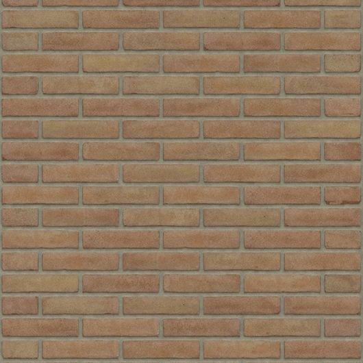 Rijswaard Brons Vormbak Waalformaat