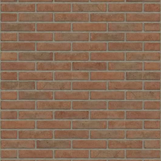 Rijswaard Roodpaars Vormbak Waalformaat 