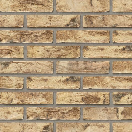 Wienerberger Ecobrick Sarek Park Handvorm Waalformaat 