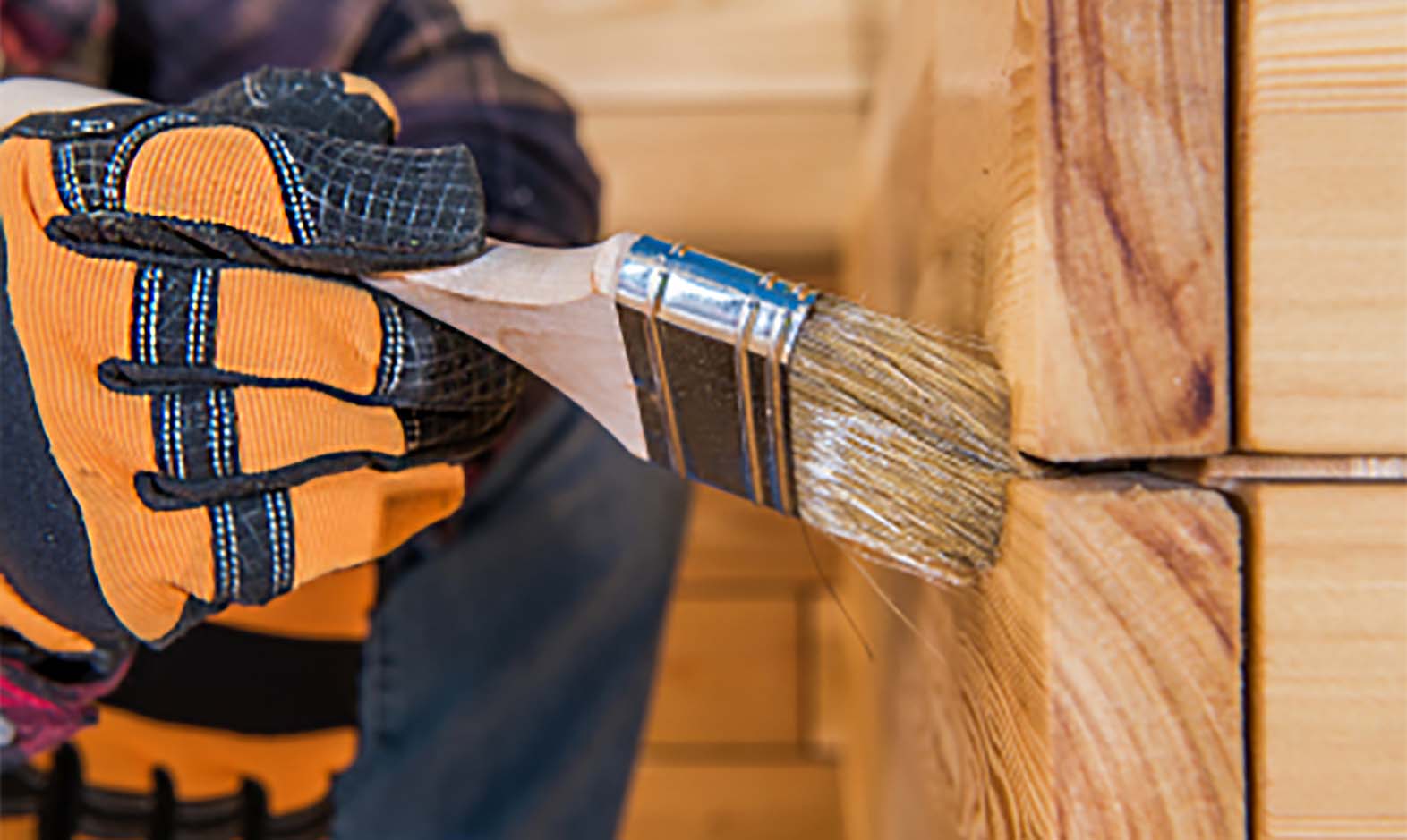 Vurenhout buiten: hoe te behandelen?