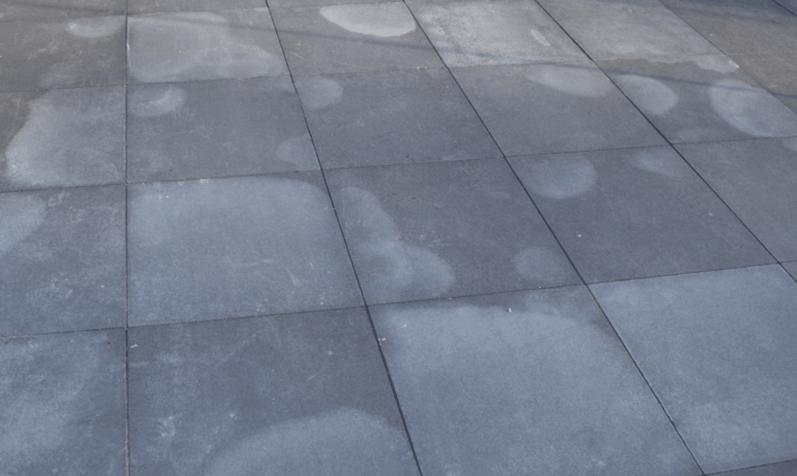 Wat is kalkuitbloei?