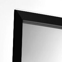 Svedex binnendeur met glas zwart