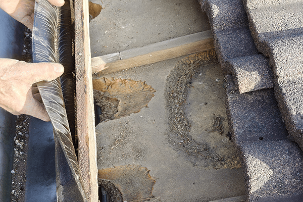 Inspecteren dakconstructie