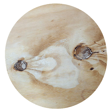 Structuur Elliottis Pine