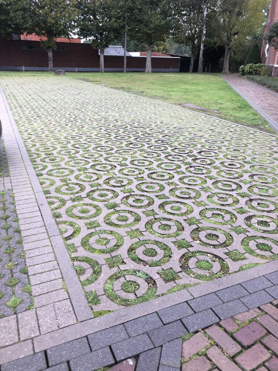 Grastegel kopen voor oprit, parkeerplaats of tuinpad?